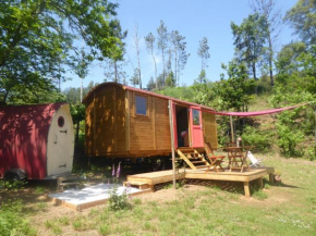 Gypsy Wagon - Shepherds Hut, Off grid, RIVER VIEWS